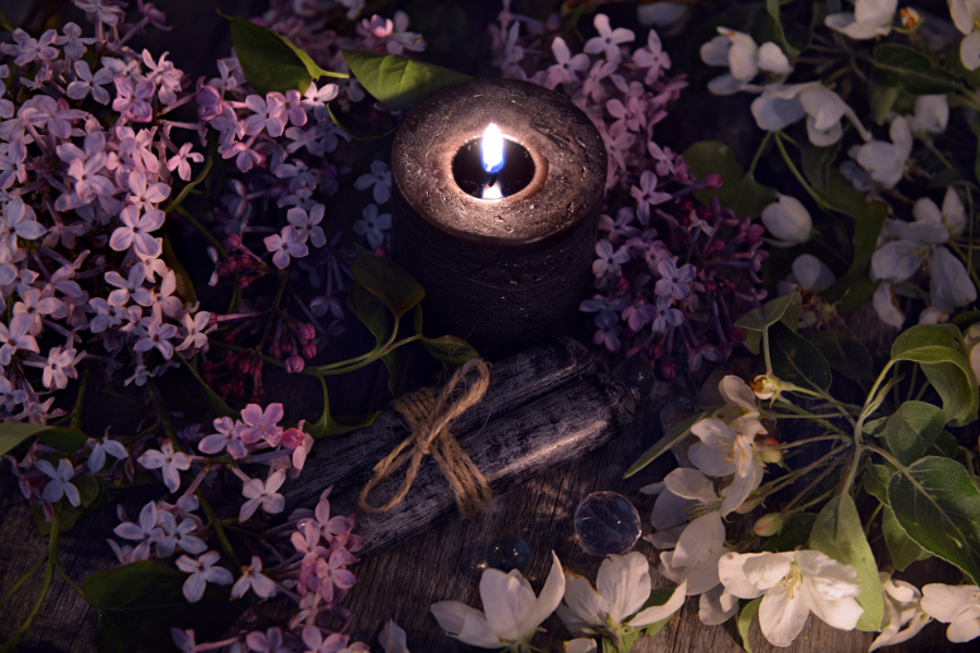 Enchanted Wren